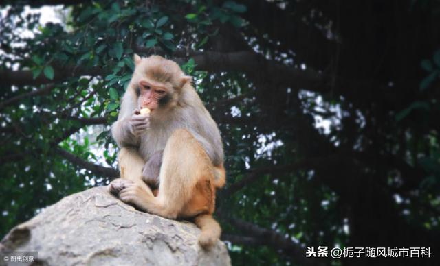 广东省的十大动物园一览