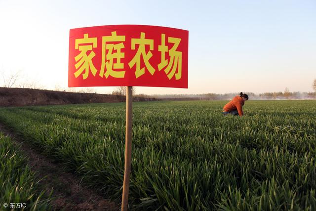 家庭农场与合作社有啥不一样？别再分不清！3分钟就全懂！