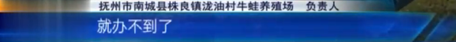 抚州南城：村里有家牛蛙养殖场 村民烦恼不断