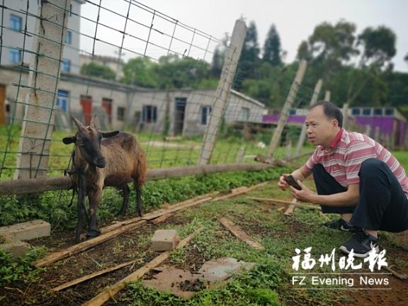 福州：留洋博士毛坤明：放弃国外高薪 归国当“羊医生”