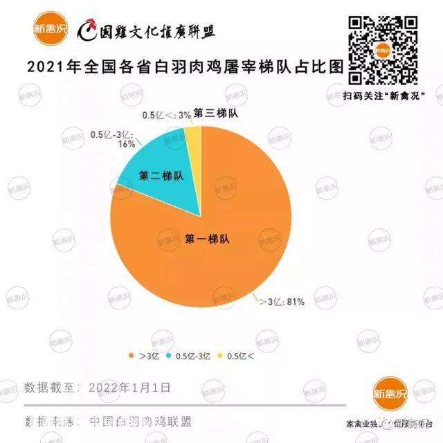 全国白羽肉鸡屠宰量排名公布，TOP5是这五个省份