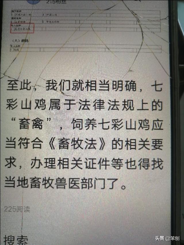 七彩山鸡贵为贡品，养殖不难，利润极丰