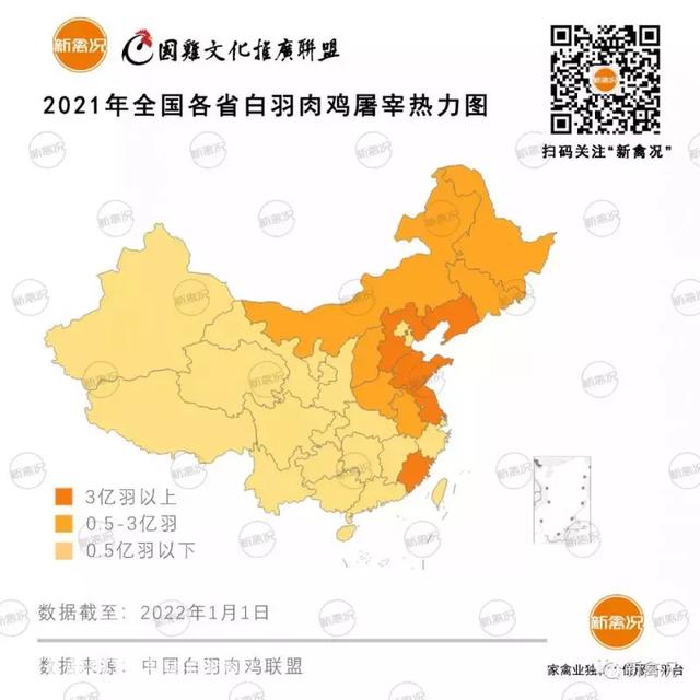 全国白羽肉鸡屠宰量排名公布，TOP5是这五个省份