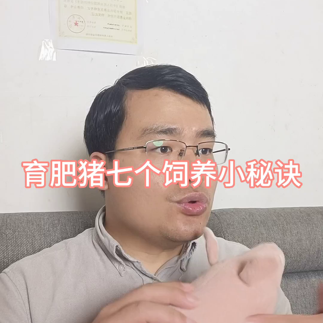 育肥猪饲养的七个小秘诀#老易养猪技术