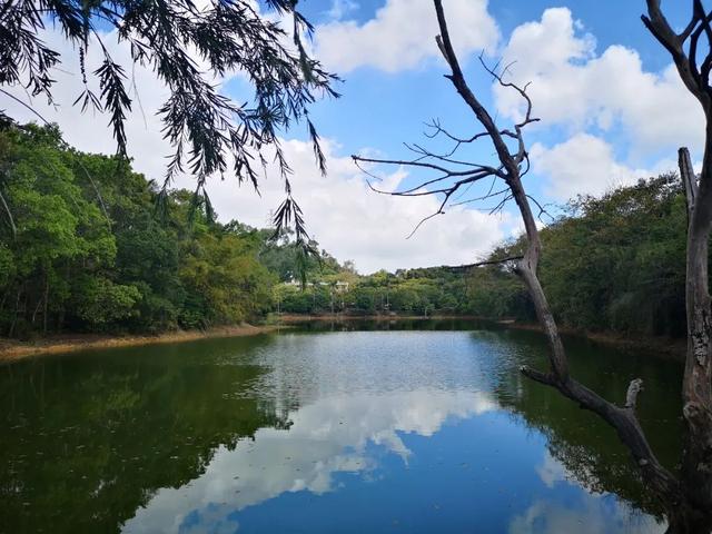 鹏城风致 深圳平湖生态园