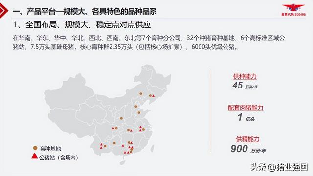 中芯种业：年可供种45万头，打造国际一流种猪企业