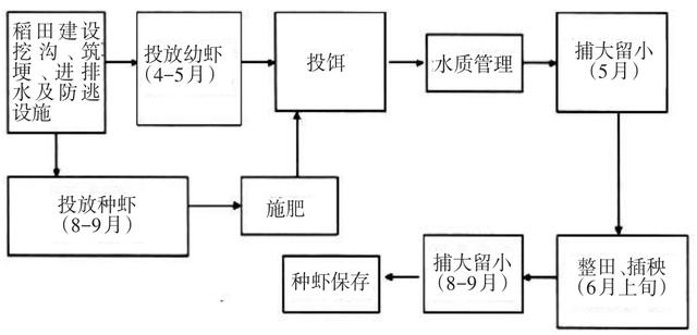 小龙虾的养殖技术：稻虾“共养”为脱贫攻坚注入“活力”