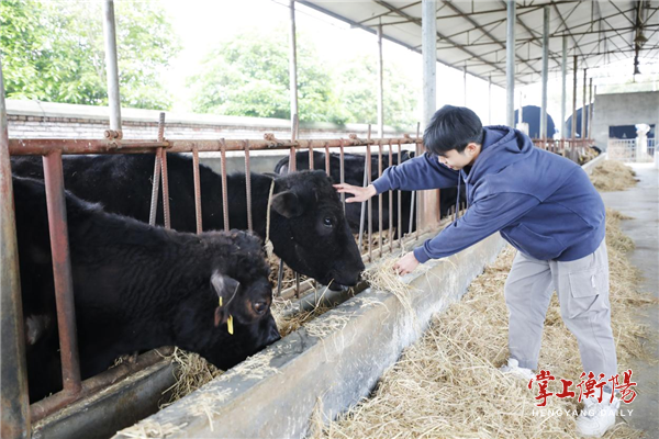 珠晖区光辉村：喂养“生态牛” ，拉动“幸福车”