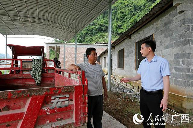 育肥牛能挣多少钱？书记给农户算了一笔账