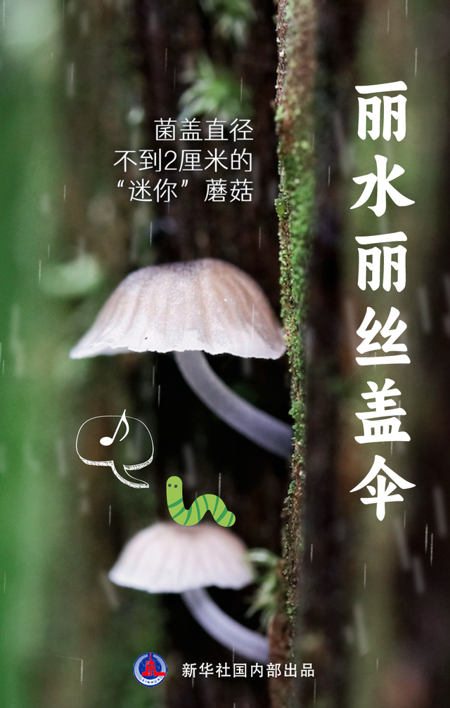 近年生物家族的这些新面孔，你认识吗？