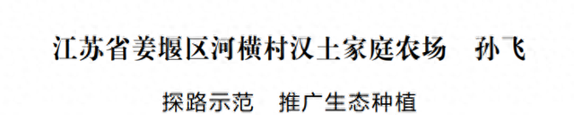 江苏省姜堰区河横村汉土家庭农场 孙飞：探路示范 推广生态种植