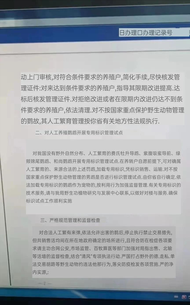 好消息！河南省开展鹦鹉标识试点，人工繁育这四种鹦鹉可合法出售