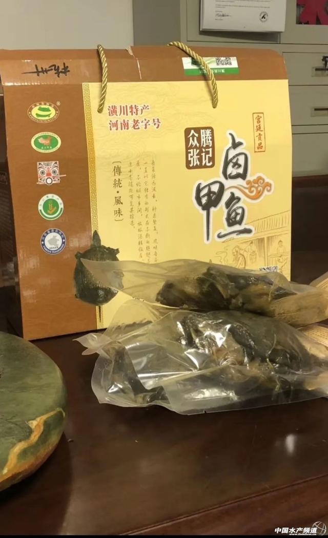 今天，我为甲鱼正名