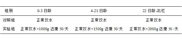 微生态制剂替代抗生素在肉鸡上的应用研究｜微生态前沿