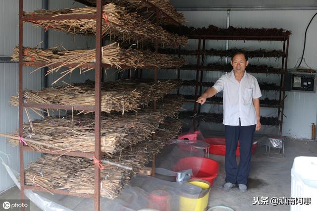 养蝉带来经济效益，细节管理影响孵化率和成蝉率，蝉户要重视细节