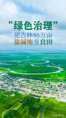 天津元宝湖生猪养殖合作社(“绿色治理”使吉林46万亩盐碱地变良田)