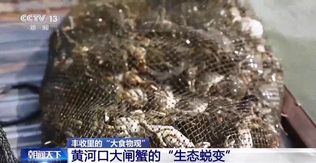 丰收里的“大食物观” 水产品迎来丰收时刻