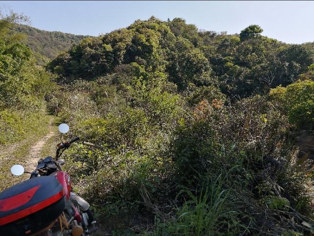 白云区钟落潭农场出租 独院有房子空地 鱼塘等