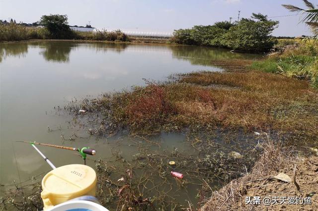 春季钓鱼，选择浅水钓位时，找这5种“黄金浅滩”，轻松钓爆护