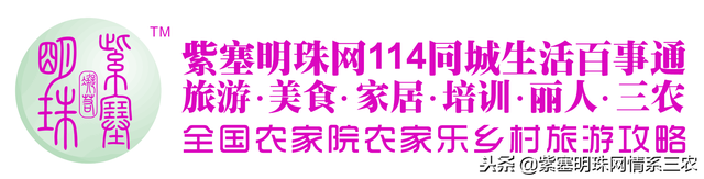 「紫塞明珠」畜牧养殖｜山东济宁种兔养殖场养殖无忧！