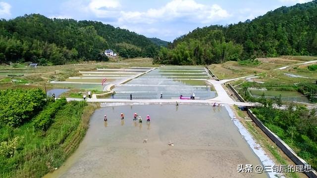 鱼类养殖的基础知识，水质管理和饲养技巧，玩转水质掌握套路