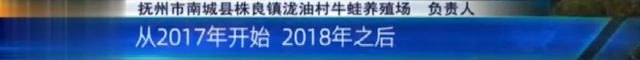 抚州南城：村里有家牛蛙养殖场 村民烦恼不断