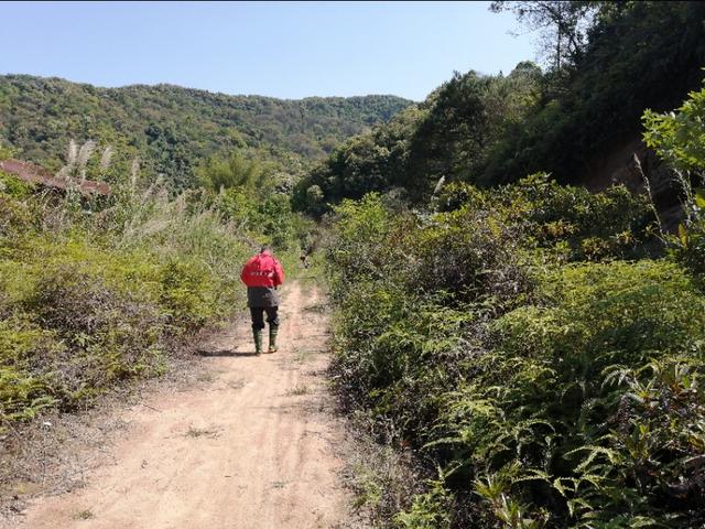 白云区钟落潭农场出租 独院有房子空地 鱼塘等