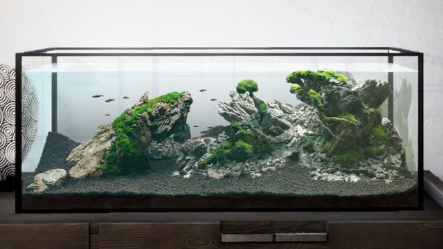 打造属于你的梦幻水族馆《模拟水族造景AQUASCAPING》