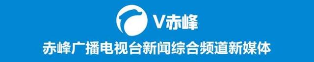 赤峰市敖汉旗木头营子乡：“三学四进五推动”模式 助力党史学习教育提质增效