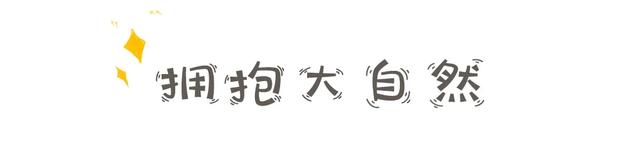 邯郸部分景点免费！五一遛娃神地来啦