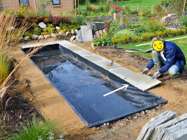 院子里空空的，大叔自己挖个2米长的水池，种睡莲养养鱼，多惬意