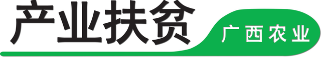 广西贵港：因地制宜发展先进种养业，走自己的乡村振兴之路