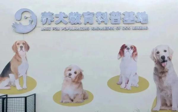 注意！深圳这25种犬禁养