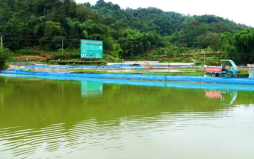 男子养殖大闸蟹，发现三个商机，一地生三财，年赚千万