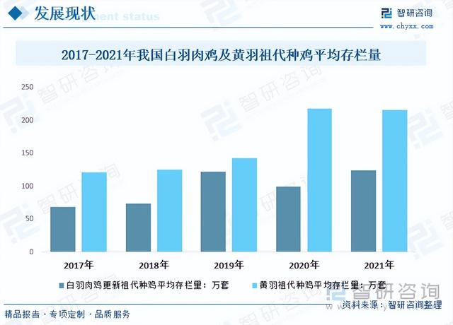 【前景趋势】一文读懂2023年肉鸡养殖行业未来发展前景