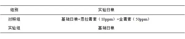 微生态制剂替代抗生素在肉鸡上的应用研究｜微生态前沿