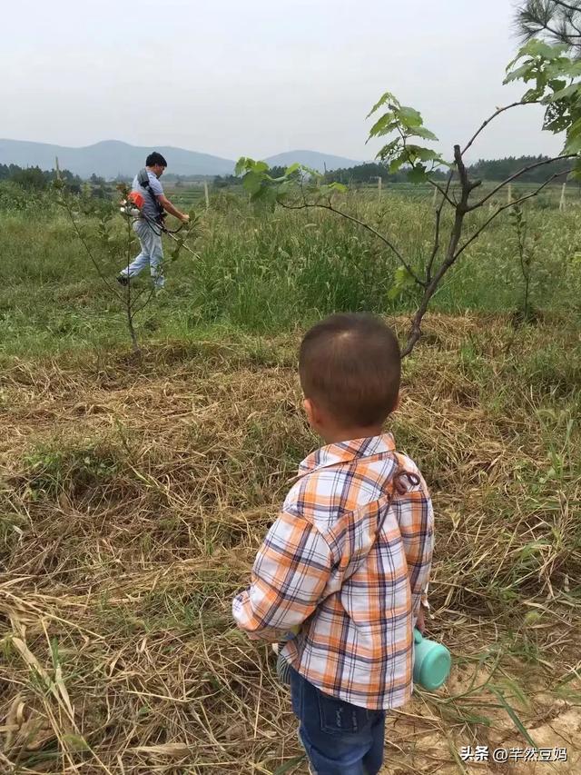 自学养殖搞农场，为何坚持5年都不曾绝望？他的那些经历让我泪目