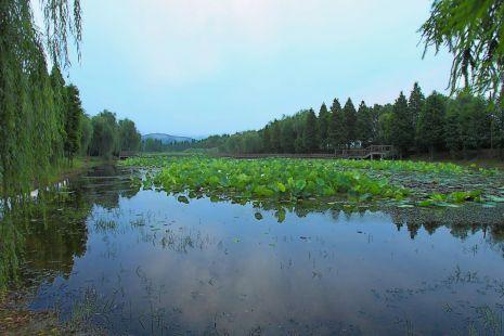 跑一场马拉松，游一座城市！20231022苏州太湖马拉松