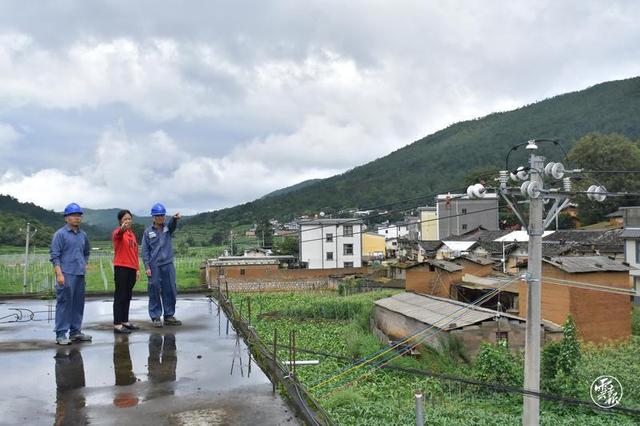 通海：电力一“鹿”相伴 助力乡村振兴