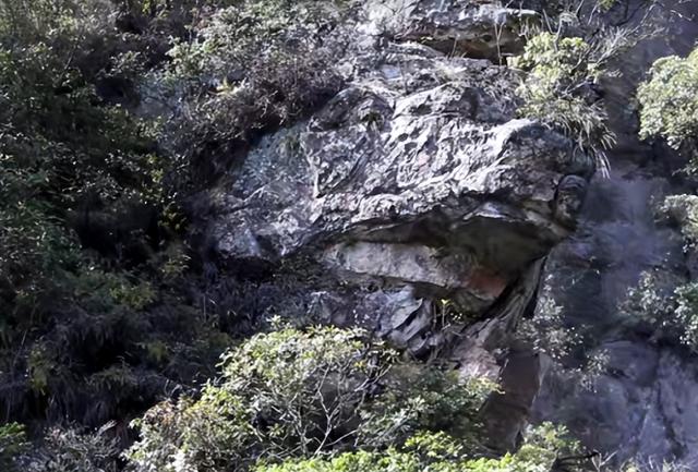 跑完“武马”，去宝峰湖和阿哥阿妹对山歌，亲密接触2米的娃娃鱼