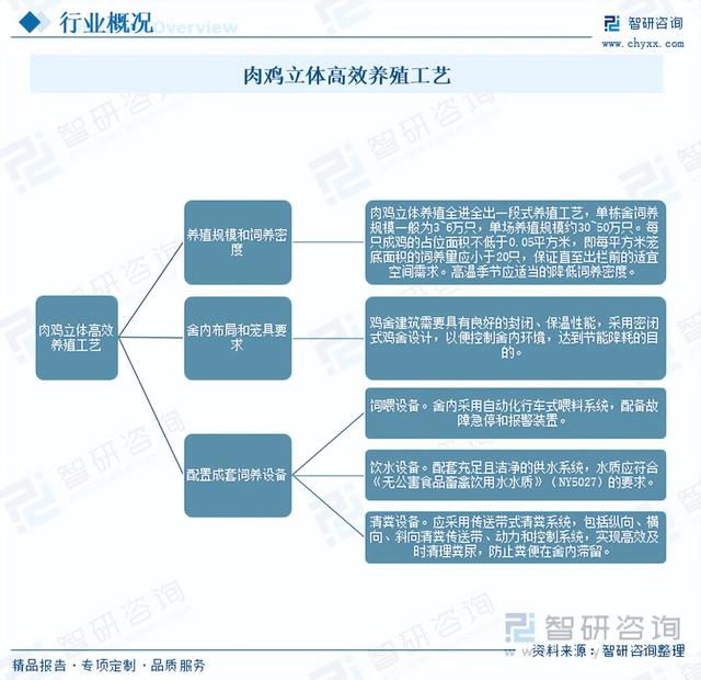 【前景趋势】一文读懂2023年肉鸡养殖行业未来发展前景