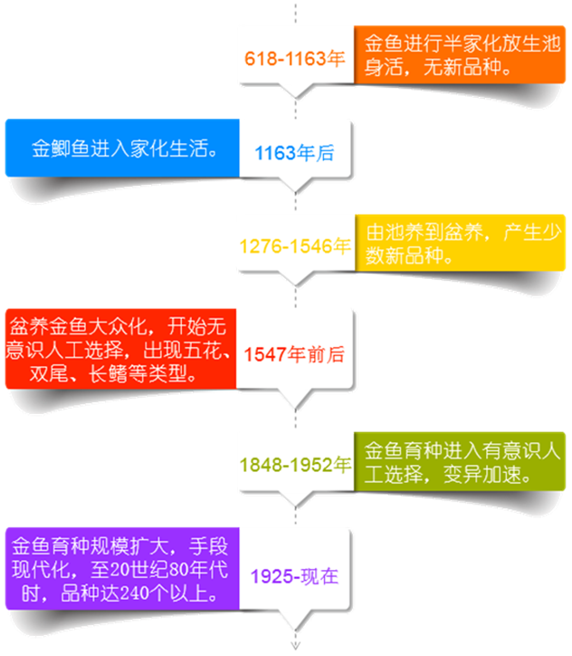 行进中的科学｜柔柔弱弱，霸占传统年画C位许多年！一起去杭州动物园，看金鱼