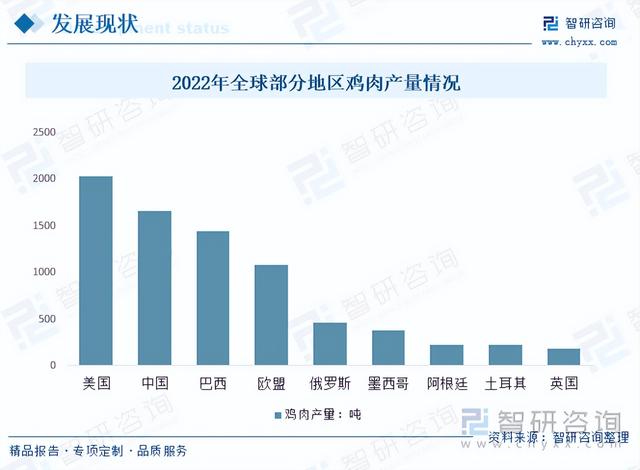 【前景趋势】一文读懂2023年肉鸡养殖行业未来发展前景