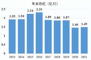 鸭养殖 市场(【专家发布】我国蛋鸭产业现状及未来发展方向)