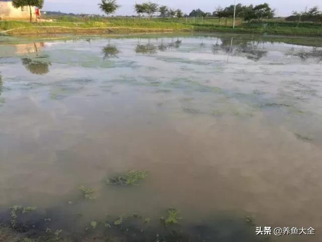 水产养殖消毒解毒！这其中的药理你可懂？