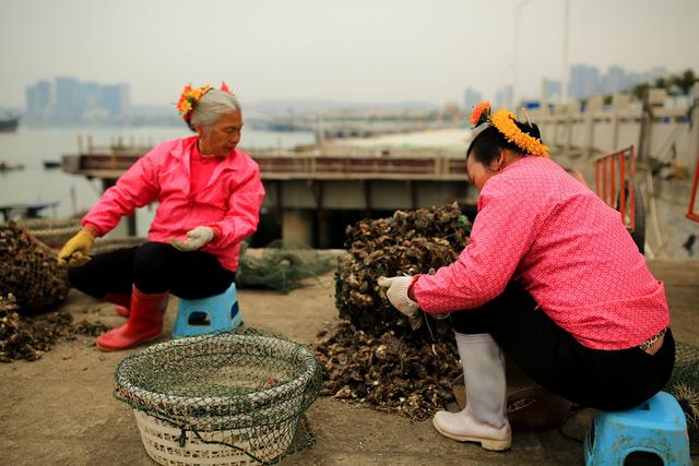 走进蟳埔，专访住在贝壳里的鹧鸪姨