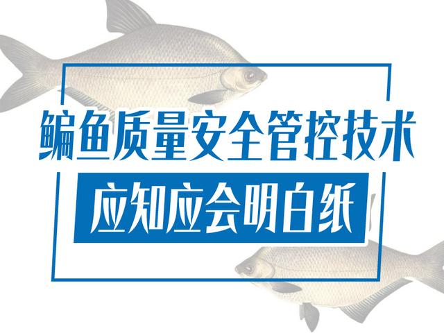 鳊鱼质量安全管控技术应知应会明白纸