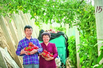 丰产增收落地生花 ——山东潍坊探索建设农业强市新路径