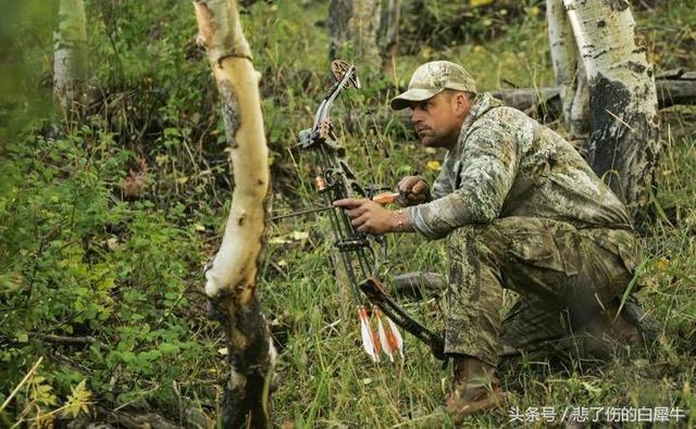 冬奥会用5G驱赶野猪，但家乡的野猪早已灭绝