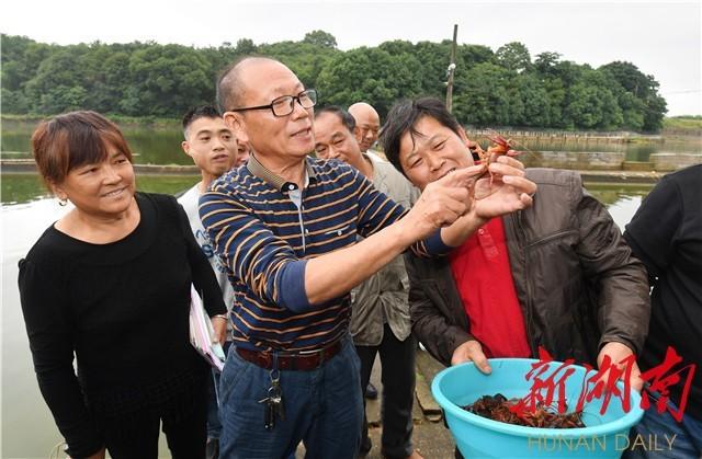 “小龙虾”的致富经 沙坪新时代农民讲习所受热捧